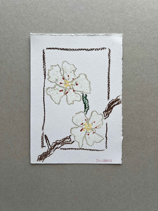 MAY FLOWER 03
