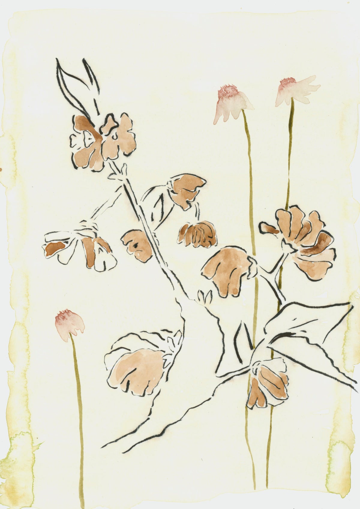 Limited Print No. 40