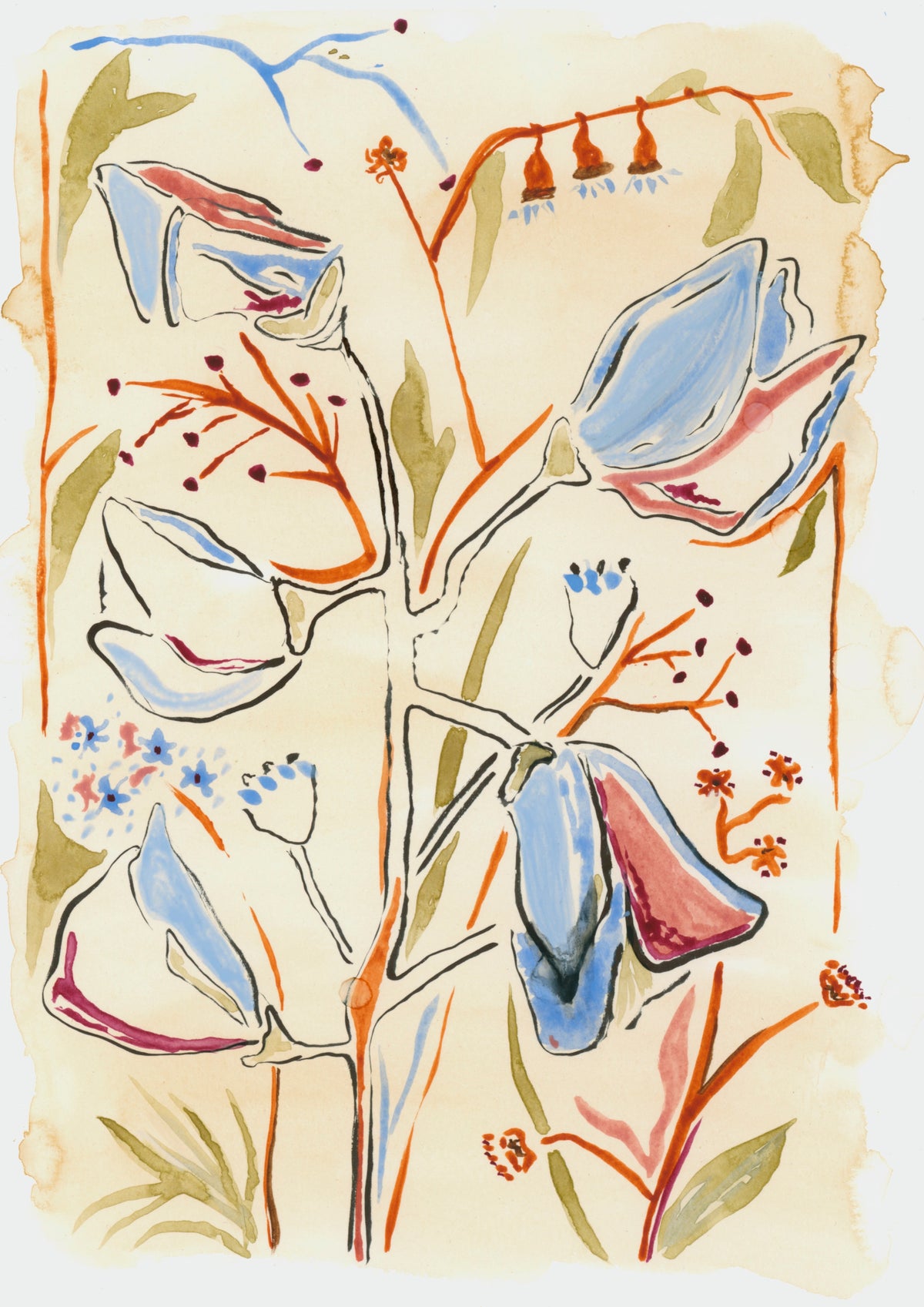 Limited Print No. 41