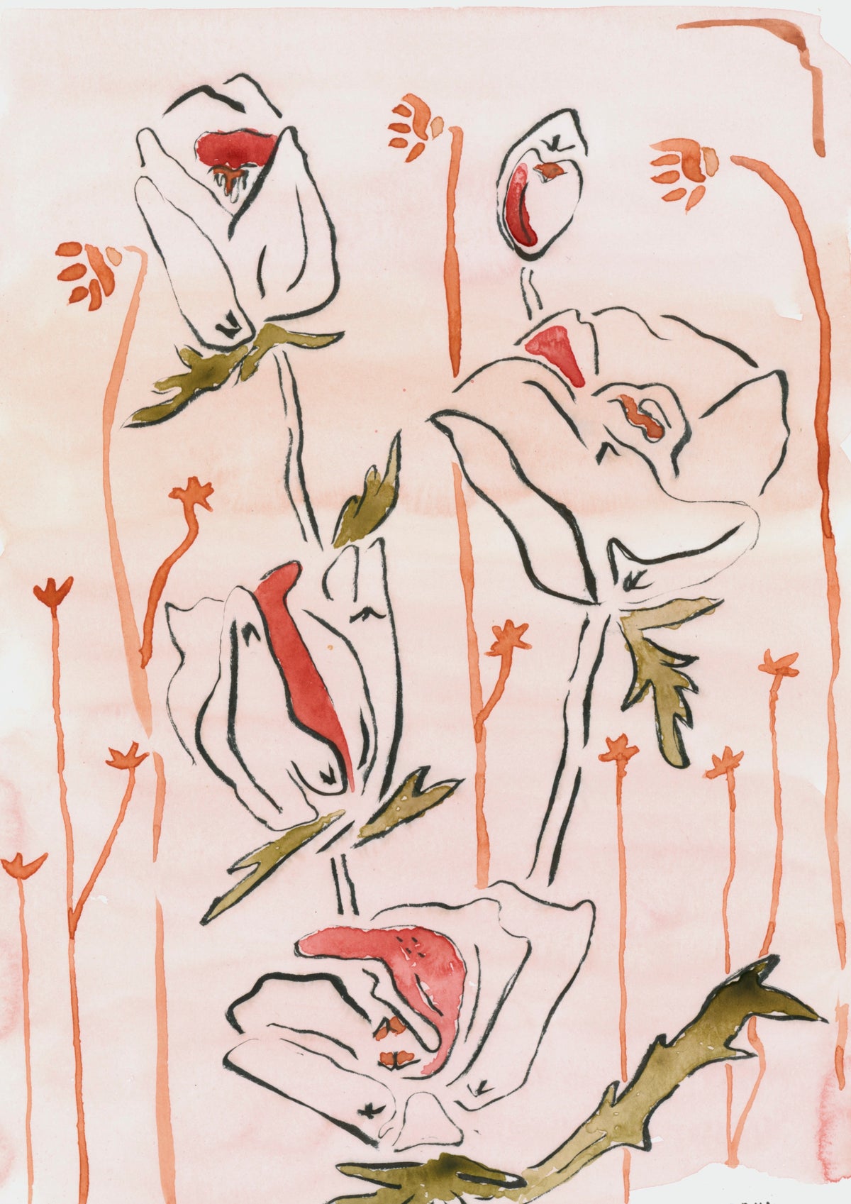 Limited Print No. 47
