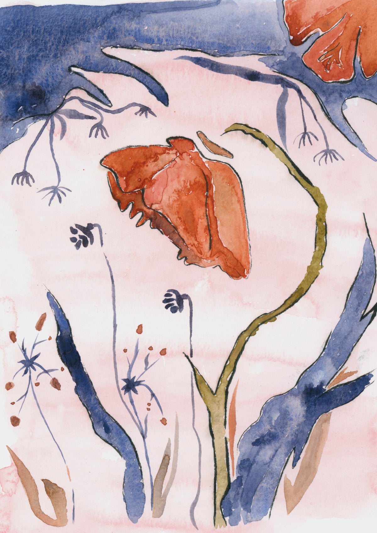 Limited Print No. 38